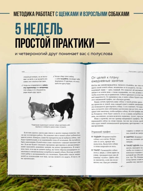 Дрессировка-без-наказания-PRIMESbooks3.webp