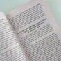 Дневник-писателя-1877-PRIMESbooks2.webp