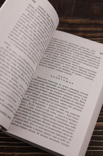 Мешок-с-костями-PRIMESbooks2.webp