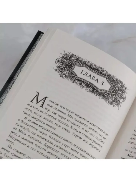 Штурм и буря-PRIMESbooks3.webp