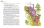 Незнайка в Солнечном городе-PRIMESbooks3.webp