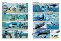 Морские животные. Том 1-PRIMESbooks4.jpg