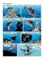 Морские животные. Том 2-PRIMESbooks2.jpg