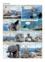 Морские животные. Том 2-PRIMESbooks3.jpg