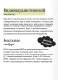 Как-устроена-экономика-PRIMESbooks5.webp