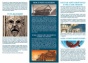Прослушка (2024)-PRIMESbooks5.jpg