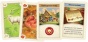 Колонизаторы Catan (2025)-PRIMESbooks5.jpg