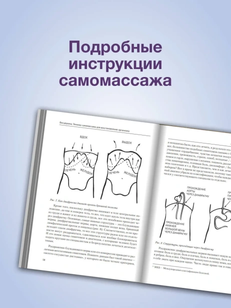 Висцералка-Техника-самомассажа-для-восстановления-организма-Самая-полезная-книга-про-живот-PRIMESbooks3.webp