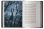 Цвет-иного-мира-PRIMESbooks2.webp