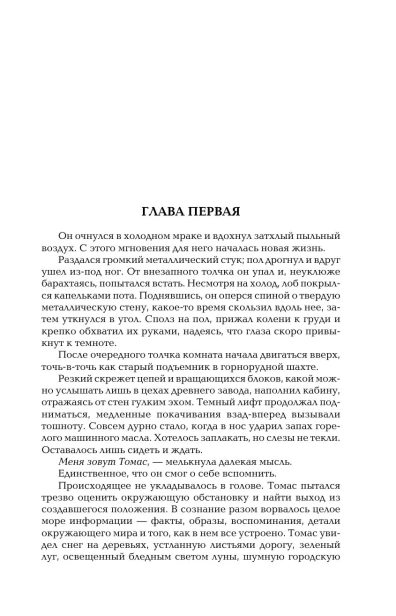 Бегущий-в-Лабиринте-PRIMESbooks3.webp