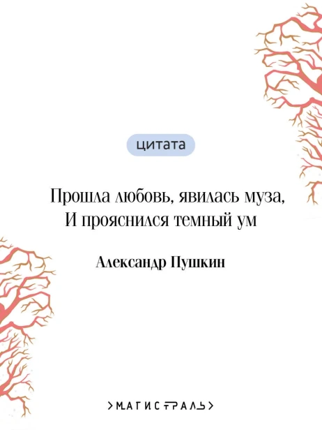 Евгений-Онегин-Подарочное-издание-PRIMESbooks4.webp