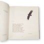 Без-Айчыны-PRIMESbooks2.webp