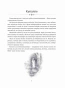 Беларускія-нячысцікі-Лясныя-PRIMESbooks2.webp