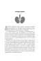 Код-ожирения-PRIMESbooks2.webp