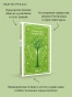Летнее-утро-летняя-ночь-PRIMESbooks4.webp