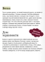 Яма-Вечные-истории-PRIMESbooks4.webp