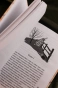 С-неба-упали-три-яблока-PRIMESbooks4.webp