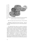 Культурные коды экономики-PRIMESbooks4.webp