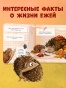 Книжки-картонки. Ёжик в саду. Первая книга малыша о природе-PRIMESbooks3