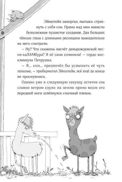 7067359744.jpg