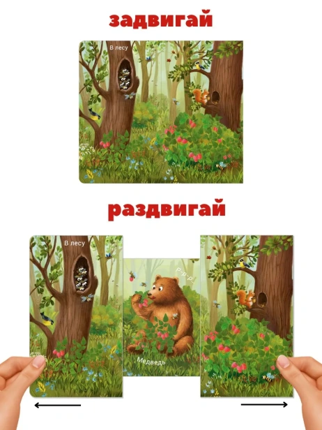 6545514079.jpg