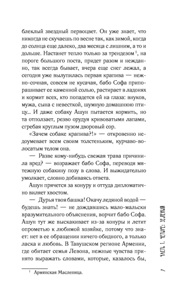 101138726_6.jpg
