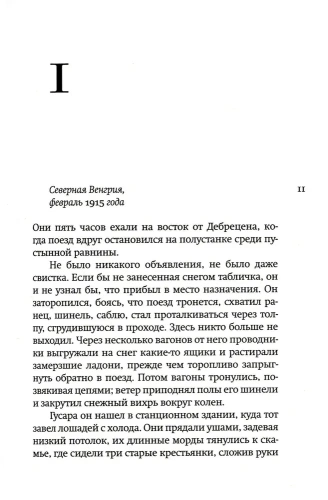 9337852113.jpg