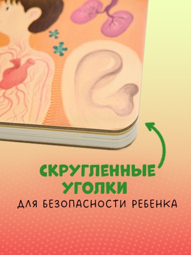 101383282_7.jpg