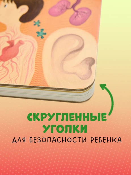 101383282_7.jpg