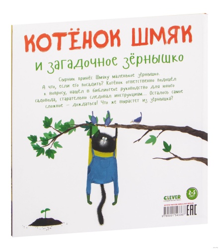 10927796_100.jpg