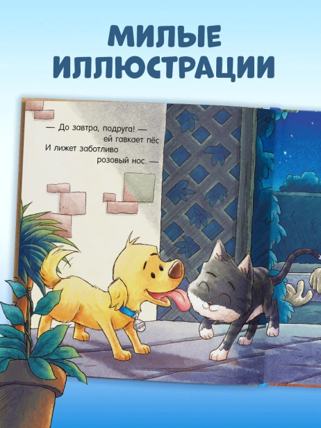 101383474_1.jpg