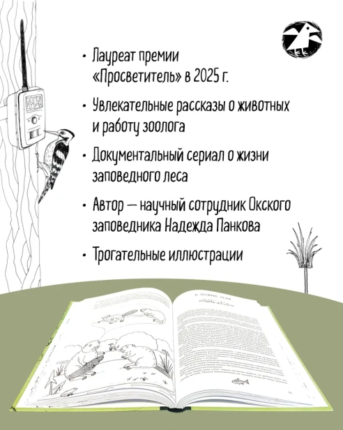 Про кабанов, бобров и выхухолей - primesbooks