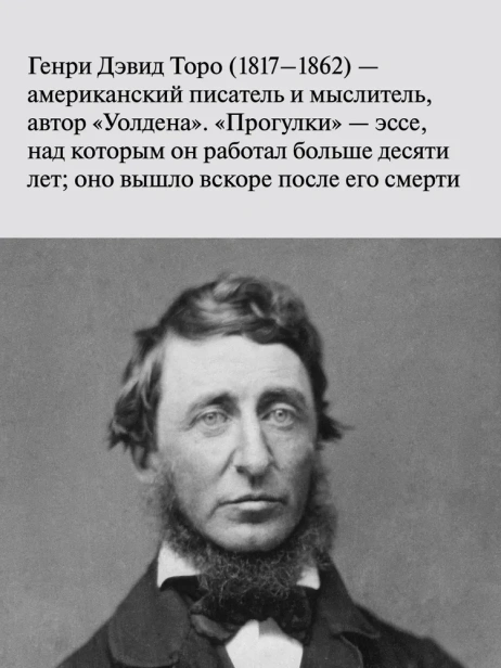 Прогулки - primesbooks