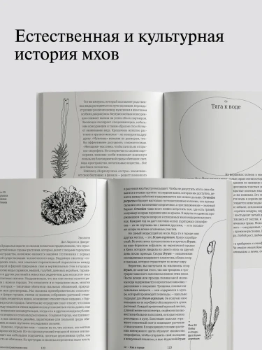 Жизнь в пограничном слое. Естественная и культурная история мхов (второе издание) - primesbooks