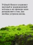 Жизнь в пограничном слое. Естественная и культурная история мхов (второе издание) - primesbooks