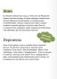 Пекарня «Пряничный домик» - primesbooks