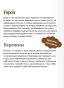 Поцелуй со вкусом тыквы - primesbooks