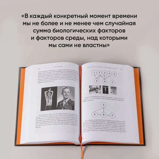 Всё решено: Жизнь без свободы воли - primesbooks