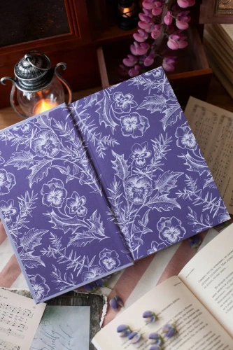 Джейн Эйр - primesbooks