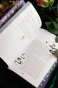Зачарованная река - primesbooks