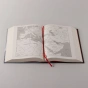 Арабы. История. XVI-XXI вв. - primesbooks
