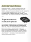 Аутентичный бренд. Как строить бизнес от сердца - primesbooks