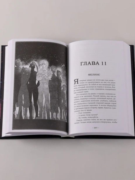 Терра и турнир Тринадцати - primesbooks