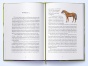 Чуття і чутливість - primesbooks