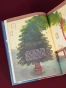 Новый год на Зелёной, 25 - primesbooks