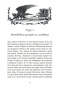 Полум'я Чорного Золота. Хаен - primesbooks