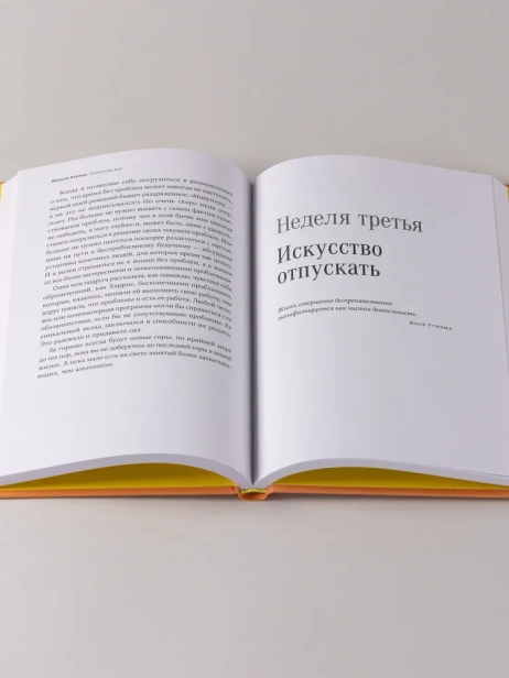 Радость неидеальной жизни: 28 дней на поиск своего пути - primesbooks