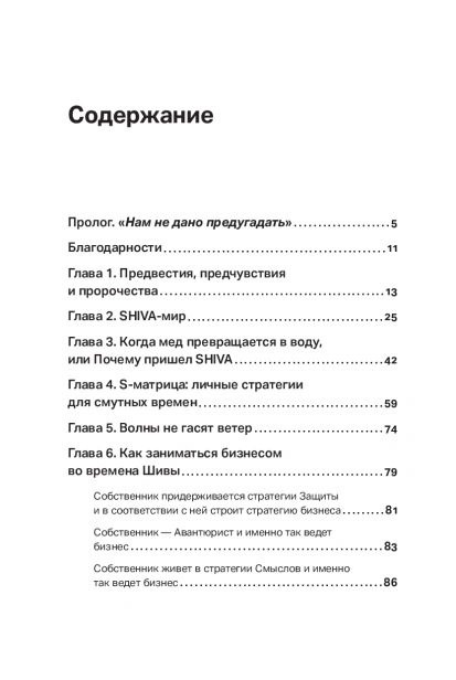 SHIVA-мир: Как жить и вести бизнес в эпоху перемен - primesbooks