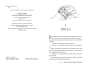 Двір цей жорстокий і чарівний - primesbooks