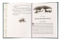 Зимнее волшебство: Сборник рождественских рассказов - primesbooks